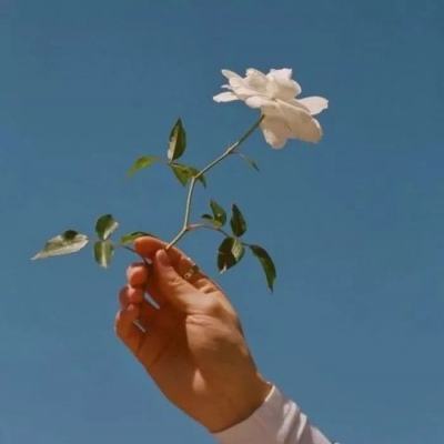 境界死神激斗vivo版本下载