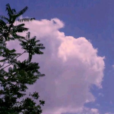 悠唐天下果盘版下载